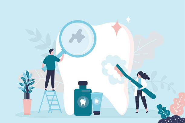  Port Barrington, IL Holistic Dental Care Services Pros